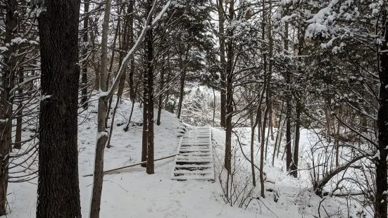 캐넌 공원