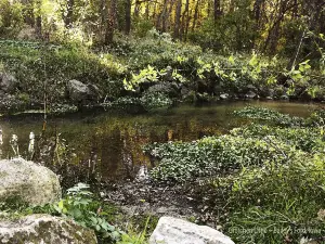 Bailey's Ford Recreation Area