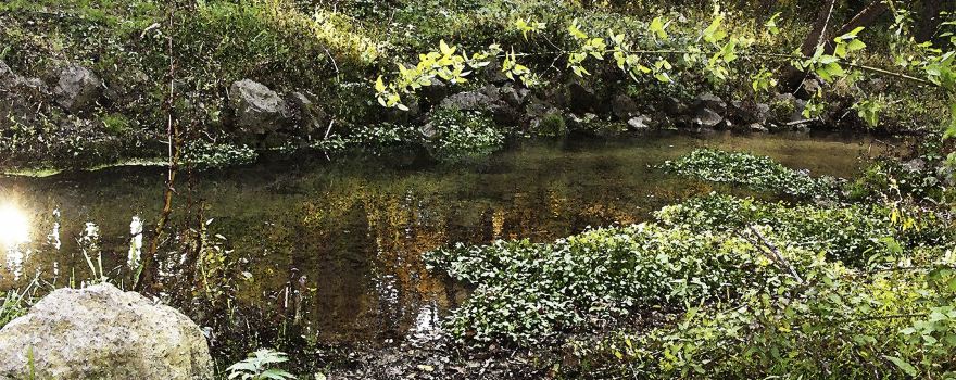 Bailey’s Ford Park