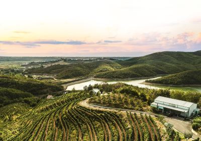 Duka Winery and Vineyard
