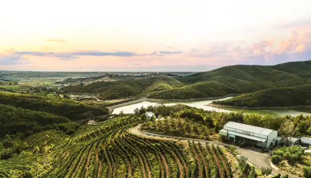 Hotels near Duka Winery and Vineyard