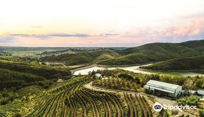 Duka Winery and Vineyard