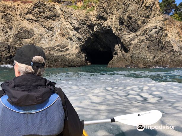 Kayak Mendocino