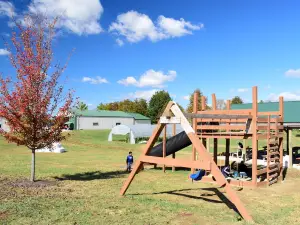 Mulberry Orchard LLC