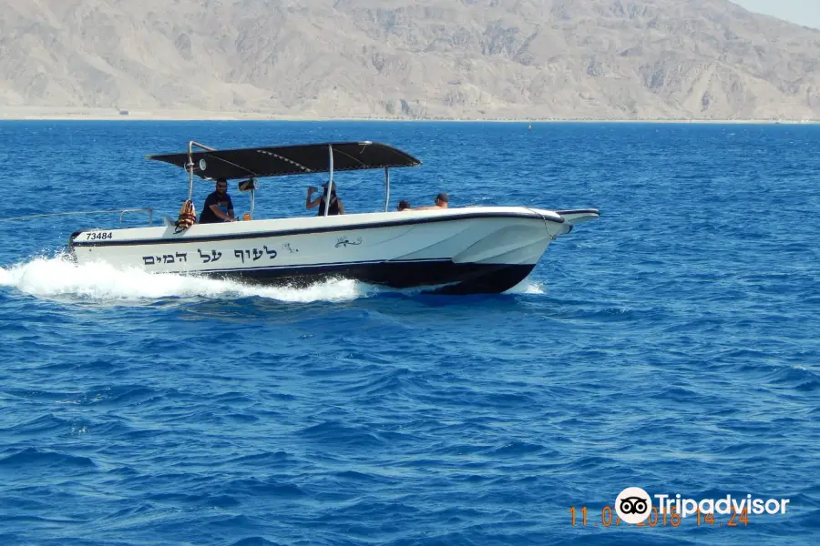 fly on water - eilat watersports