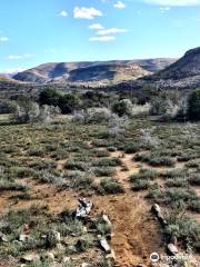 Mount Zebra National Park