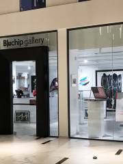 Bluchip gallery