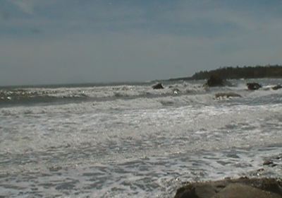 False Harbour Beach