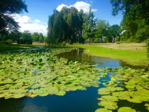 Volkspark