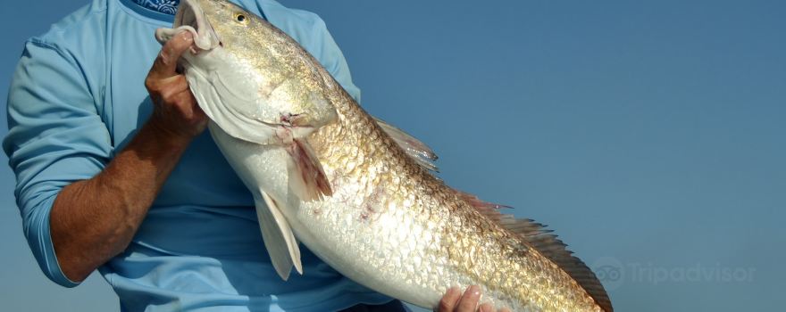 Florida Inshore Xtream Charters