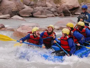 Potrerillos Explorer