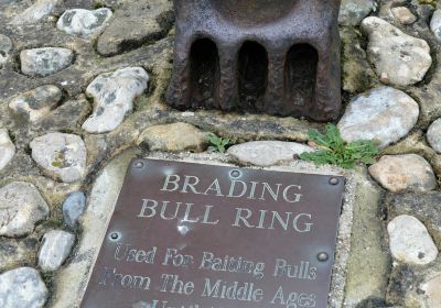 Brading Bull Ring