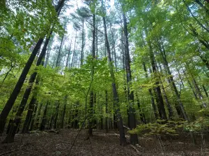 The Old Catskill Game Farm - Abandoned Zoo