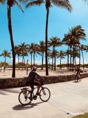 Bike & Roll Miami - Bicycle Rentals and Segway Tours