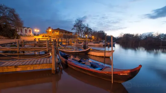 Ollem Turismo Fluvial