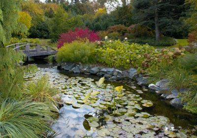 Klehm Arboretum & Botanic Garden