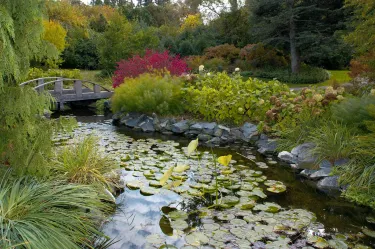 Klehm Arboretum & Botanic Garden