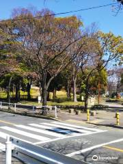 Jingū Higashi Park