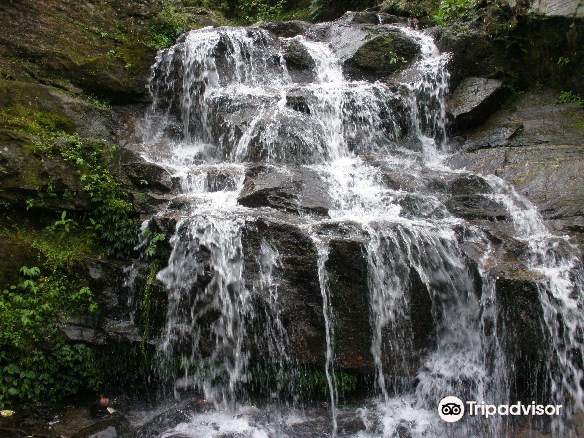 2025 Darjeeling Travel Guide: Must-see attractions, popular food, hotels, transportation routes (updated in June)