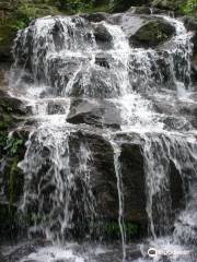 Rock Garden, Darjeeling