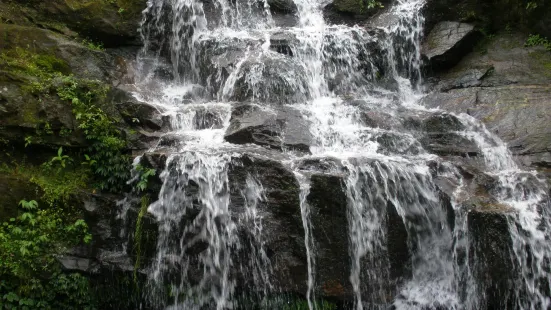 Rock Garden, Darjeeling