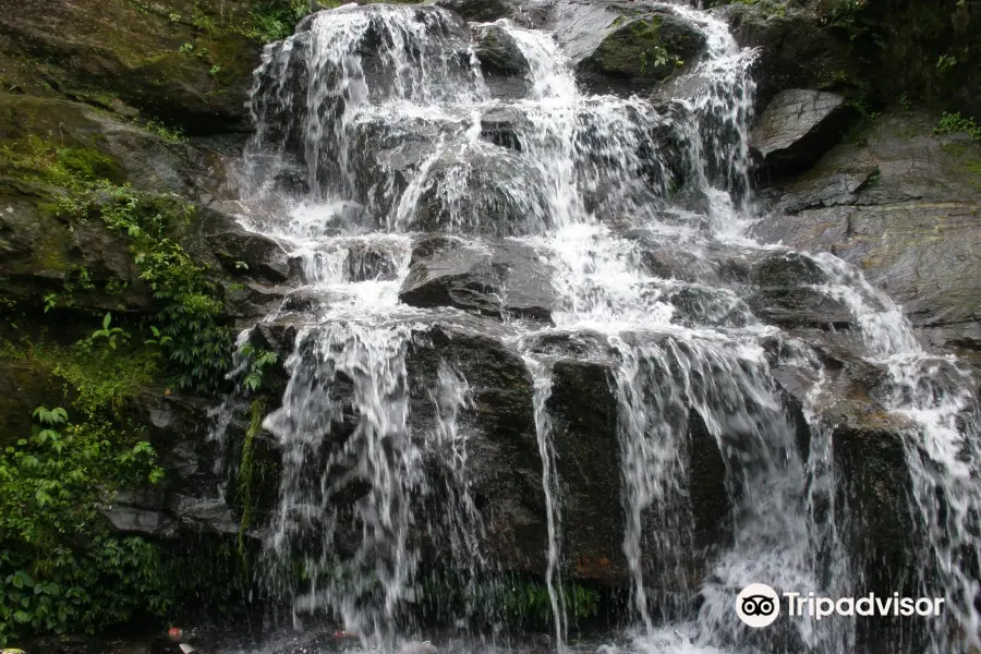 Rock Garden, Darjeeling