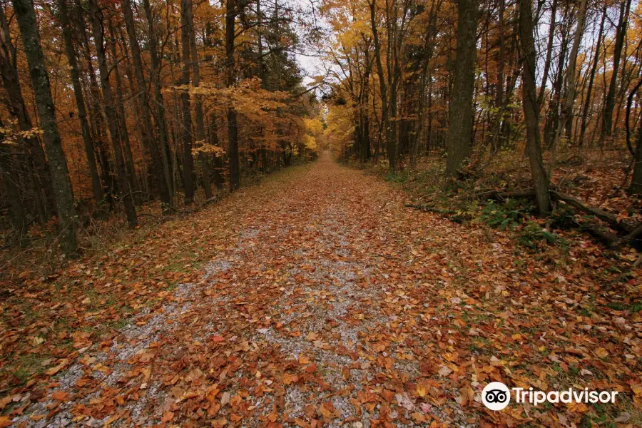 Clear Creek Metro Park