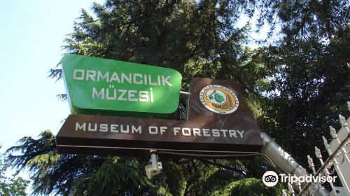 Forestry Museum