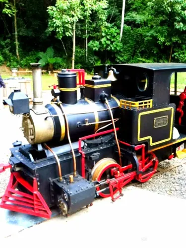 Mina Modelo Caetano Sonego Museum