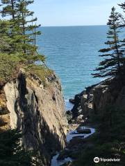 Western Head Preserve Trailhead