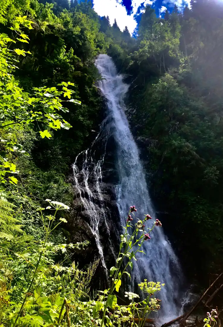 Hotels in La Ferriere