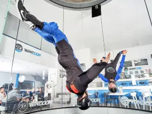 Windoor Real Fly