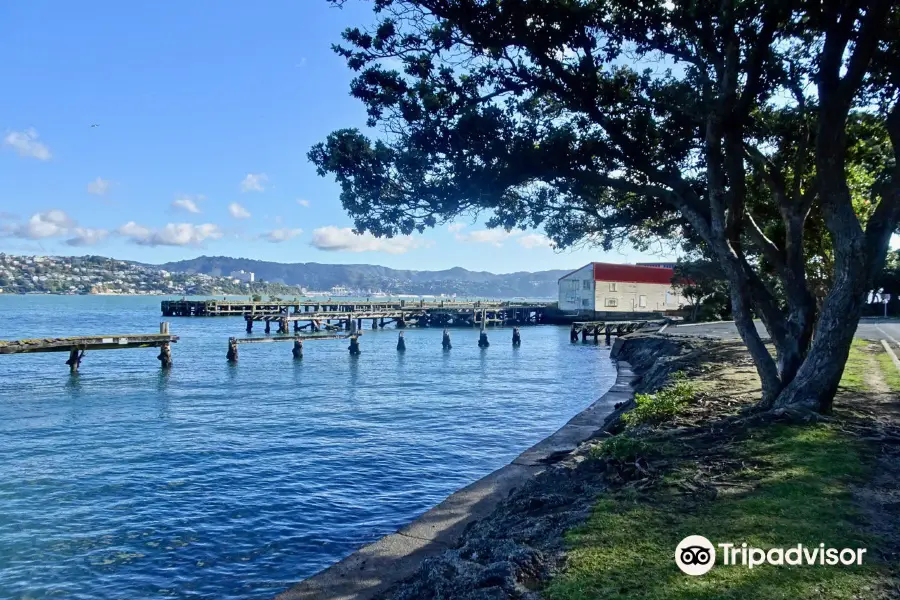 Shelly Bay