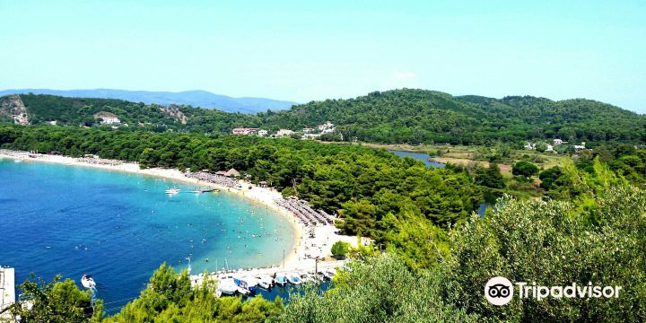 Koukounaries Beach