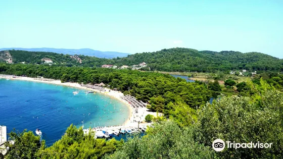 Koukounaries Beach