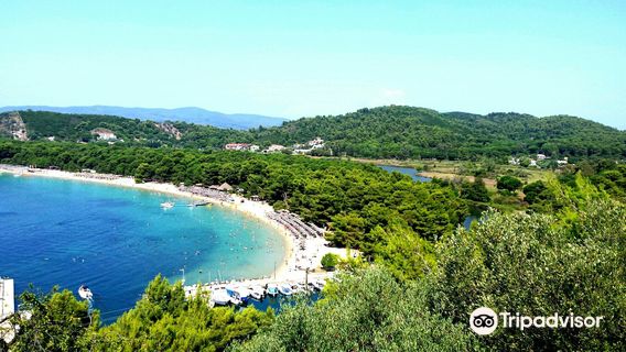 Koukounaries Beach