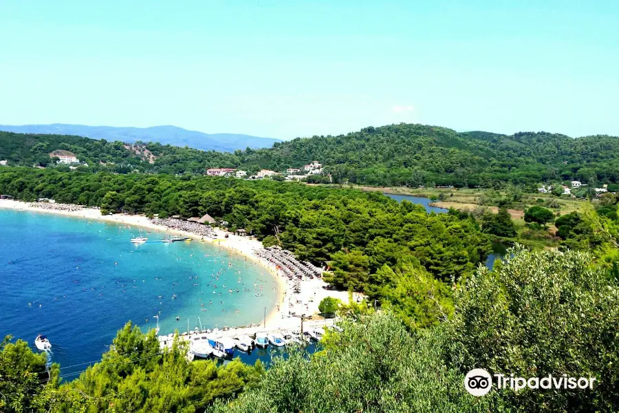 Koukounaries Beach