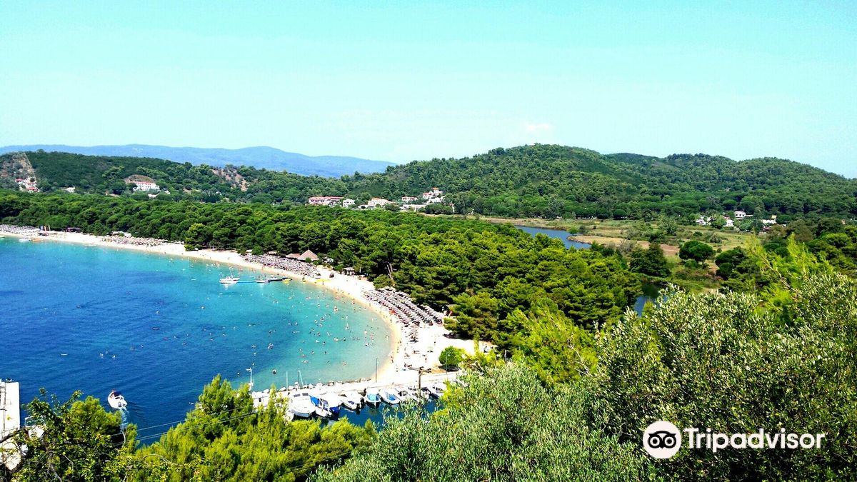 Koukounaries Beach