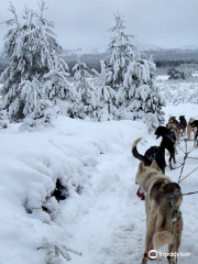 Cairngorm Sleddog Centre