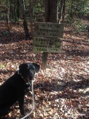 Birkhead Mountains Wilderness