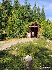 Kaslo river trail