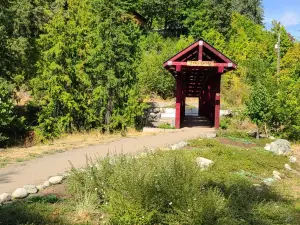 Kaslo river trail