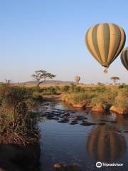 Serengeti Hippo Pool