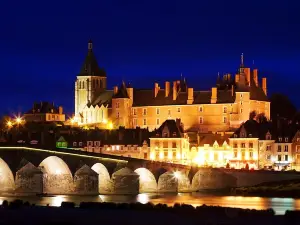 Castle Museum of Gien