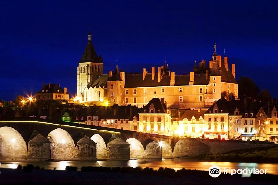 Castle Museum of Gien