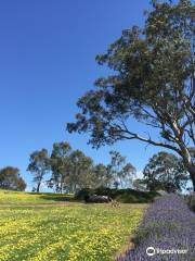 Lyndoch Lavender Farm and Cafe