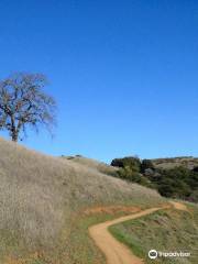 Monte Bello Open Space Preserve