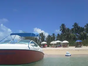 Ilha de Santo Aleixo