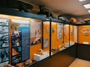 Kotelnich Paleontological Museum