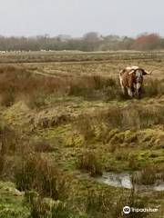 WWT Caerlaverock Wetland Centre